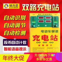 洋子(YangZi)快速充电站电瓶车投币充电器电动车2路壁挂快充智能语音