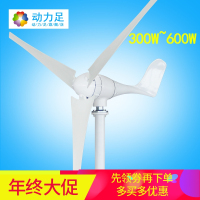 洋子(YangZi)600W风力发电机400W/500W小型路灯家用照明风力发电机24V
