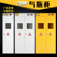洋子(YangZi)气瓶柜安全医院存放柜实验室单瓶双钢瓶防爆柜乙炔氢氧气存放