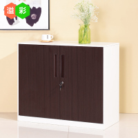 洋子(YangZi)新款铁皮文件柜财务凭证柜资料档案柜玻璃柜带锁储物办公矮柜子