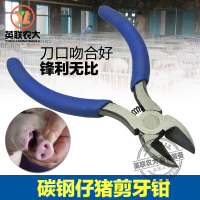 洋子(YangZi)猪用碳钢剪牙钳 剪牙剪 剪齿钳牙剪 仔猪小猪 兔 兽用器械 畜牧