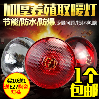 洋子(YangZi)加厚防水防爆仔猪用取暖保温灯泡 红外线节能保暖灯养殖 养猪设备