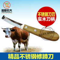 洋子(YangZi)不锈钢马牛修蹄刀修蹄钳修蹄勾工具一字型修蹄刀双面直刀左右手