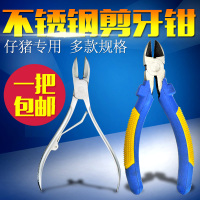 洋子(YangZi)直头弯头仔猪剪牙钳小中大号不锈钢剪齿钳猪用剪修牙断牙钳 兔子