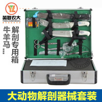 洋子(YangZi)牛羊马等大动物解剖器械工具套装 解刨刀斧头剪刀等兽用器械