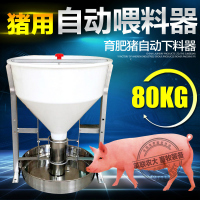 洋子(YangZi)猪用自动喂料器 育肥料槽干式 不锈钢大猪粗桶食槽 养猪设备食槽