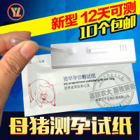 洋子(YangZi)兽用母猪早孕测孕试纸 猪用早孕测试纸诊断检测卡 养猪设备用品