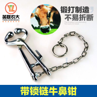 洋子(YangZi)精品 不锈钢带铁链牛鼻钳保定器绑定牵引器工具 牛用养殖工具器械