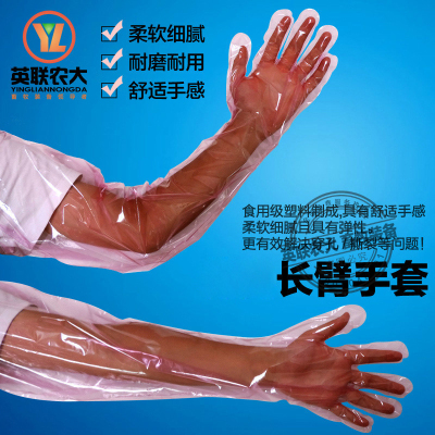 洋子(YangZi)进口 兽用一次性长臂手套 柔软 猪牛用输精人工授精器械 50支