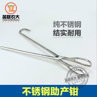 洋子(YangZi)精品纯不锈钢金属兽用助产钳 仔猪助产夹 母猪用助产工具器械用品