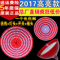 洋子(YangZi)led猪肉灯 鲜肉灯照肉灯生鲜节能灯熟食灯肉档灯水果蔬菜灯超亮