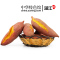 【中华特色】 湛江馆 南国芒岛 5斤装蛋黄色红薯新鲜地瓜 农家种植番薯地瓜新鲜发出 口感好
