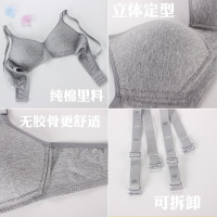 上新款 夏季定型薄款内衣女高中学生无钢圈纯棉薄模杯胸罩少女发育期文胸
