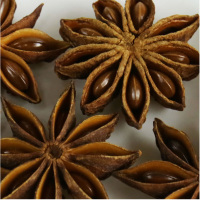 古福大料八角大茴香50G*2袋装炖菜烧菜卤料火锅香料厨房食材香辛料香料