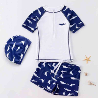 儿童泳衣男童闪电客夏分体小中大童速干游泳衣新款学生温泉泳裤套装