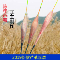 芦苇浮漂漂A31A15C01闪电客鲫鱼鲤鱼综合混养浮标垂钓用品