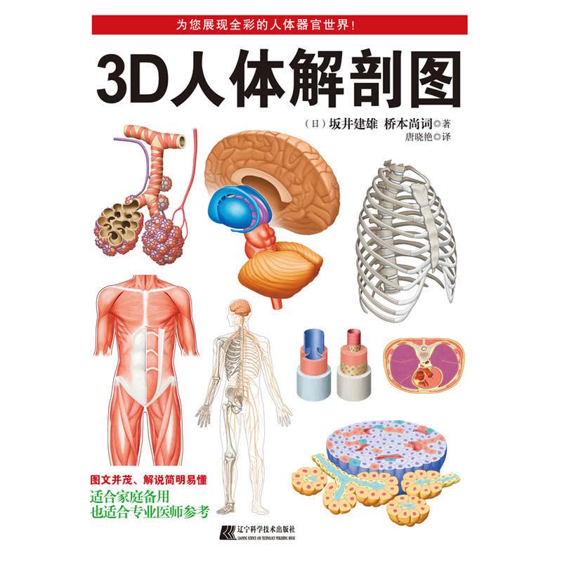3D人体解剖图(日本东京大学教授出品、200个精密3D图例,权威专业、简明易懂,既适合专业医师参考,也适合家庭健康备用)图片