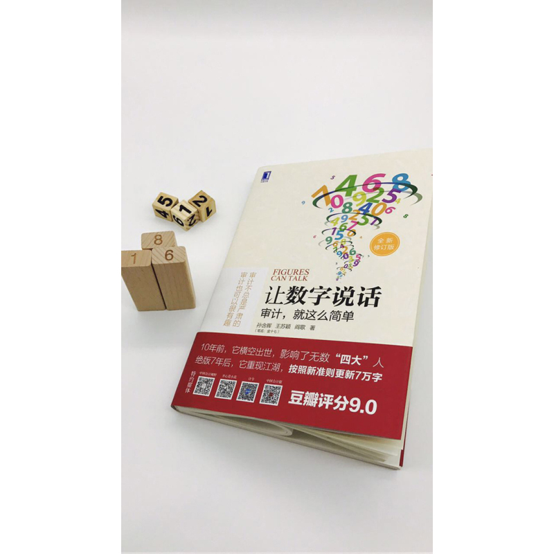 让数字说话:审计,就这么简单(团购,请致电010-57993380)