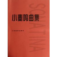 小奏鸣曲集