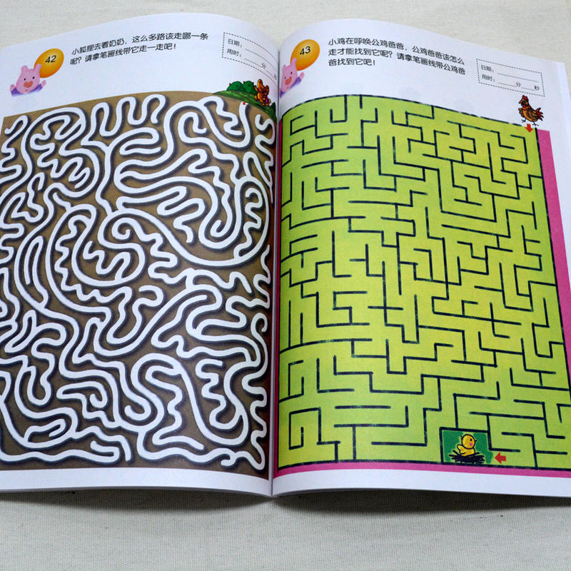 启明星少儿全脑开发丛书:趣味迷宫6~7岁