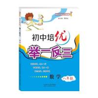 初中培优举一反三数学八年级