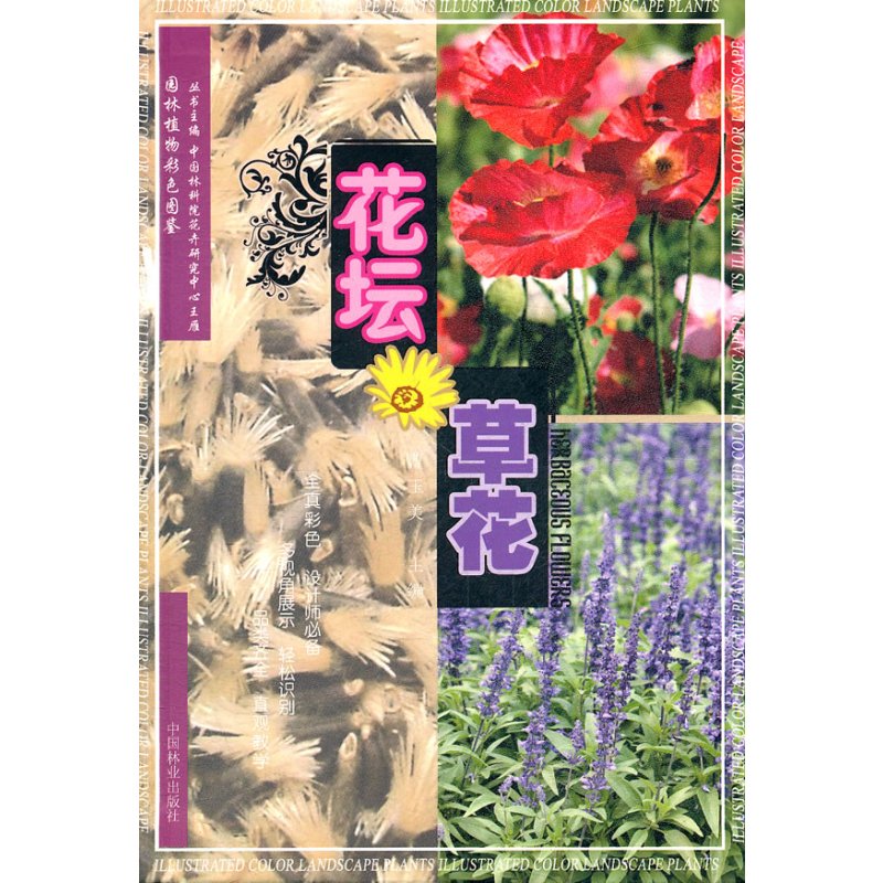 花坛草花