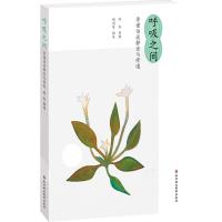 呼吸之间  李谨伯谈静坐与修道