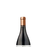 智利进口 7个人(7 EXPLORERS)特别珍藏级黑皮诺2014红葡萄酒瓶装红酒 750ml 13.5%vol.