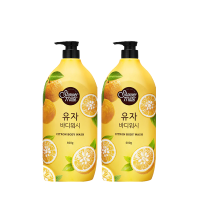 韩国 Aekyung 爱敬 科娜洗丝 沐浴伴侣清新柑橘沐浴露 500g 两件装