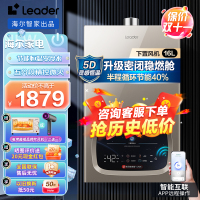 海尔16升双增压零冷水燃气热水器天然气家用多点用水恒温节能冷凝密闭降噪强排式WiFi智能净滤