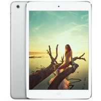 【二手9成新】Apple iPad mini 1平板电脑 银色 16G Wifi