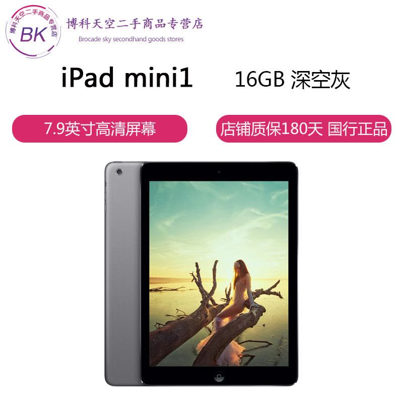 【二手9成新】Apple iPad mini 1平板电脑 深空灰 16G Wifi图片