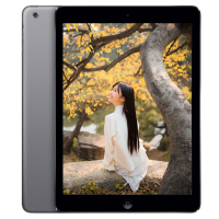 【二手9成新】苹果iPad Air （16GB/WiFi版）深空灰 国行