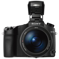 索尼(SONY) DSC-RX10III 黑卡数码相机/照相机长焦相机 DSC-RX10M3
