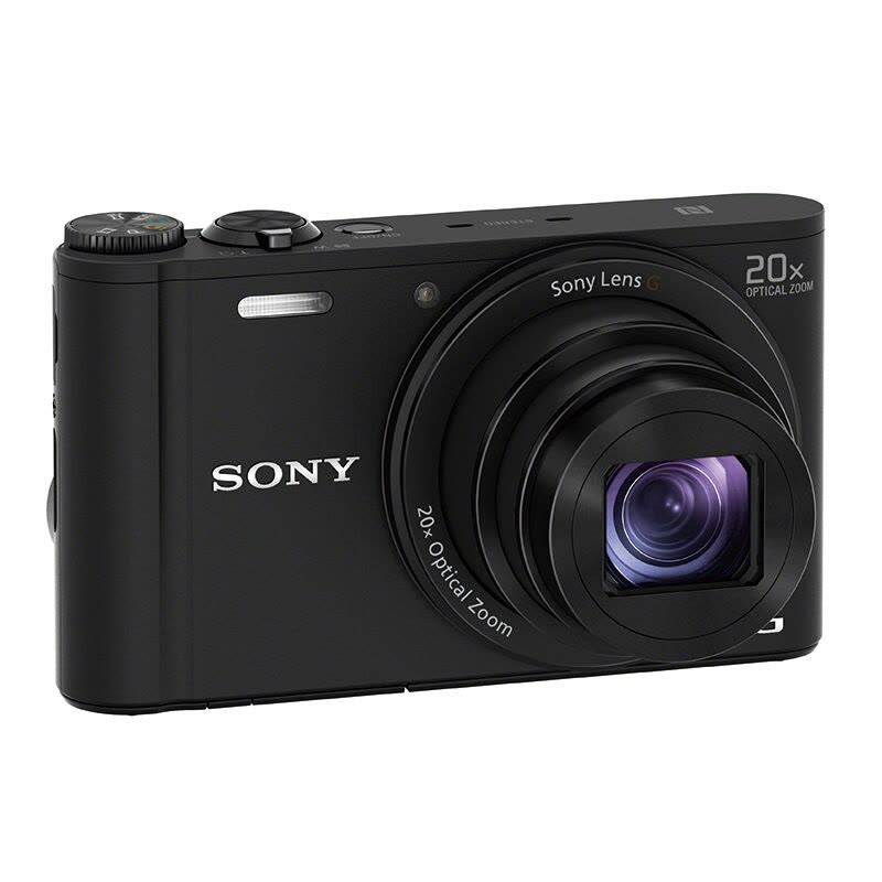 索尼(SONY) DSC-WX350 数码相机 (1820万有效像素 20倍光学变焦 25mm广角 Wi-Fi遥控拍摄)图片