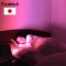 Exideal LED 美容仪 脸部照射美容 电源式 小大排灯ex-280 大排灯EX280白色 带喷雾和眼镜日本进口
