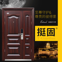挺固甲级防盗门 子母门 五合一智能锁 C级防盗 安全门 进户门 入户门 智能指纹锁门