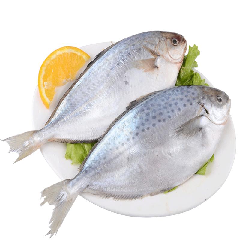 渔鼎鲜阿根廷斑点鲳鱼500600g条袋装斑点鲳鱼肉质鲜嫩味道不逊于白鲳