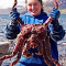 【活鲜】 鲜活阿拉斯加帝王蟹3.8-4斤/只 鲜活发货 送吃蟹工具