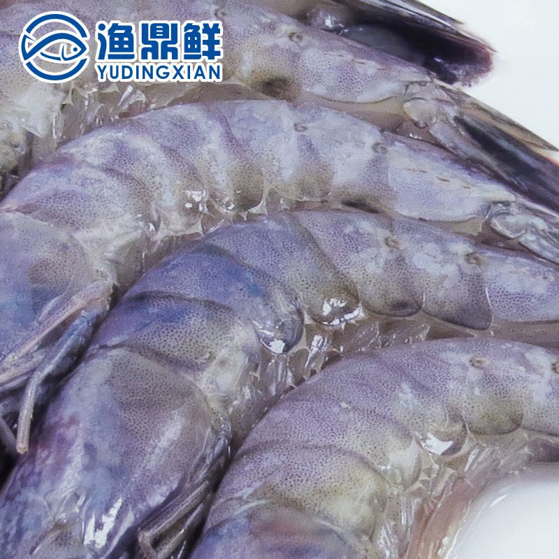 渔鼎鲜 文莱进口蓝虾800g 51-60头 船冻大虾 海鲜水产 生冻带头进口虾 冻虾图片