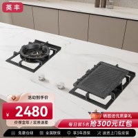 英丰燃气灶 煤气灶家用天然气 欧式大火力全嵌入式岩板灶具 二眼隐形岩板灶(多功能炉架)