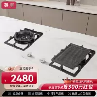 英丰燃气灶 煤气灶家用天然气 欧式大火力全嵌入式岩板灶具 二眼隐形岩板灶(多功能炉架)