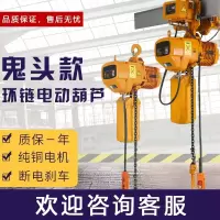 环链电动葫芦1吨2吨0.5-3-5-10吨t行吊起重机阿斯卡利链条式吊机380v 超低式双链5吨4米