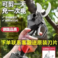 阿斯卡利(ASCARI)电动剪刀果树修枝剪充电式电剪刀锂电强力园林剪树电剪子剪枝