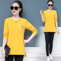 迪鲁奥（DILUAO)新款女装长袖T恤女薄款2021新款春秋装大码遮肚打底衫中长款加肥宽松上衣