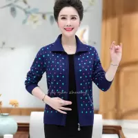 迪鲁奥（DILUAO)中老年新款妈妈装秋冬季新款大码宽松翻领针织袖上衣