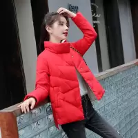 迪鲁奥（DILUAO)40岁50岁妈妈穿的羽绒服轻薄服女2020年秋季新款短款时尚修身特卖白鸭绒外套
