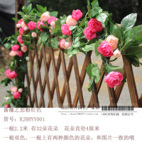 古达 清雅复古仿真玫瑰花藤条假花藤条塑料绢花空调管道装饰花壁挂藤蔓 16朵大红花