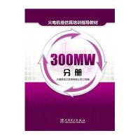 正版书籍 火电机组仿真培训指导教材 300MW分册 9787512388611 中国电力出