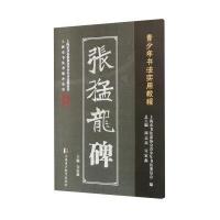 正版书籍 张猛龙碑(青少年书法实用教程) 9787811214123 上海浦江教育出版